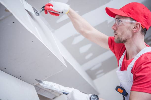 Best Drywall Sanding and Smoothing  in Fairview, UT